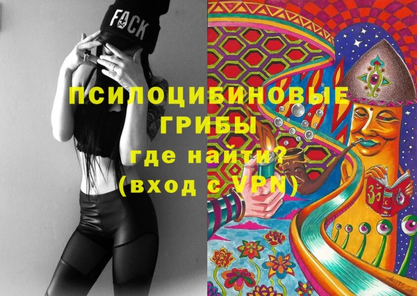 гашик Абинск