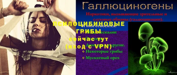 соль ск Абаза